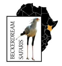 Beckerdream Safaris