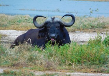 Nakuru