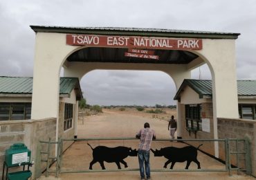 Tsavo East