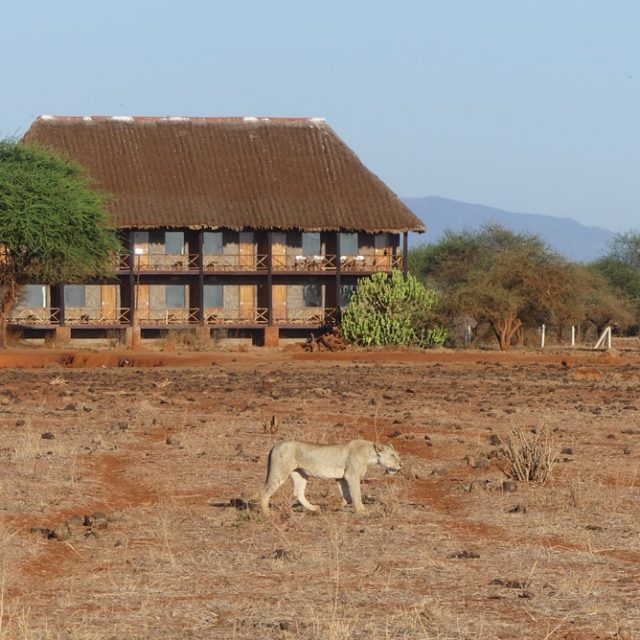2 Days Ngutuni Wildlife Sanctuary