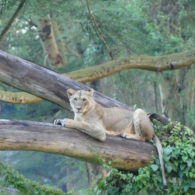 2 Days Nairobi & Lake Nakuru
