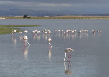 Amboseli