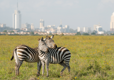 Nairobi